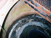 photos 2000-200901154